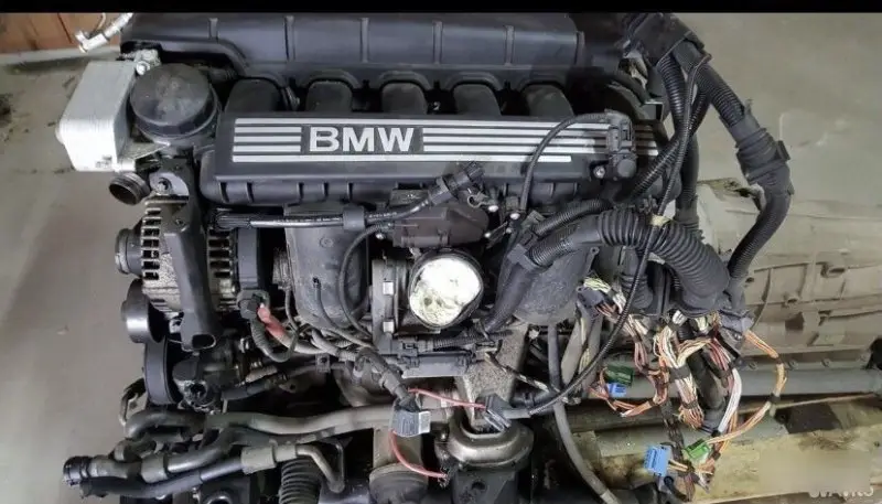 Двигатель BMW 3 N52B25A E90 N52B25A — фото 2