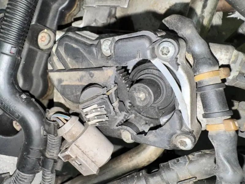 Двигатель Volkswagen Passat BVY1 B6 — фото 5
