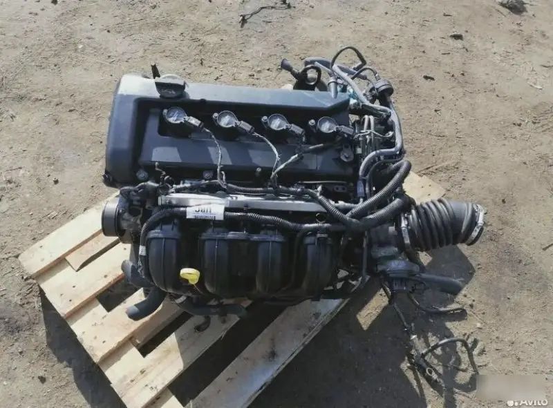Двигатель Ford Focus QQDB6006AA QQDB