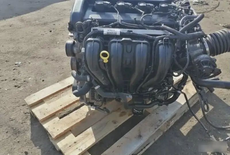 Двигатель Ford Focus QQDB6006AA QQDB — фото 5